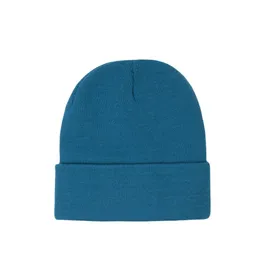 FWRD Aspen Beanie