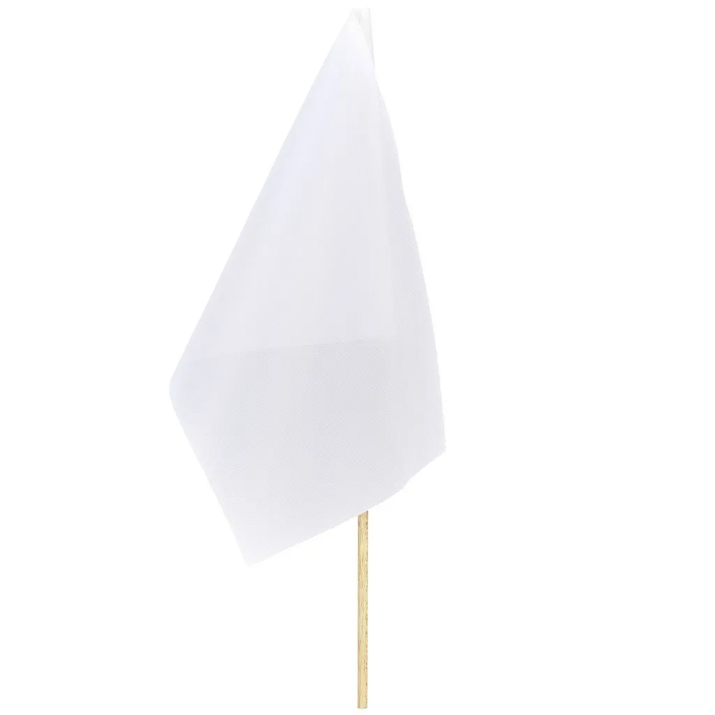 Champion Small Hand Flag 30 X 20cm