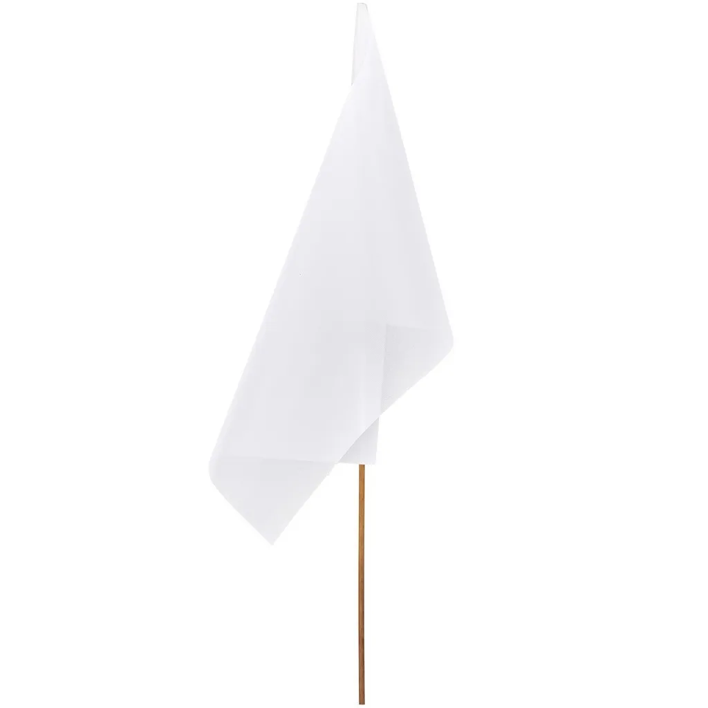 Champion Large Hand Flag 90 X 60cm