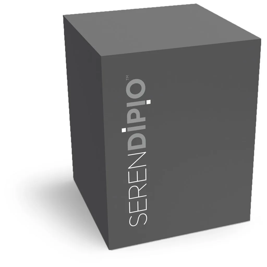 Serendipio Sheridan Steel Tumbler 300ml