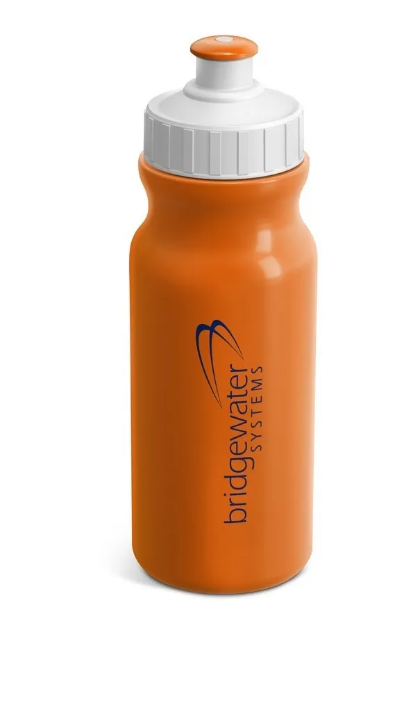 Altitude Carnival Plastic Water Bottle 300ml