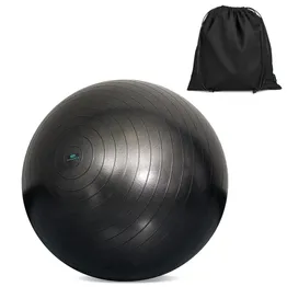 Eva And Elm Comet Anti Burst Gym Ball