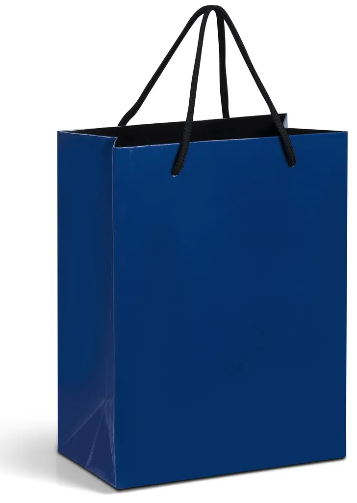 Altitude Dazzle Mini Paper Gift Bag