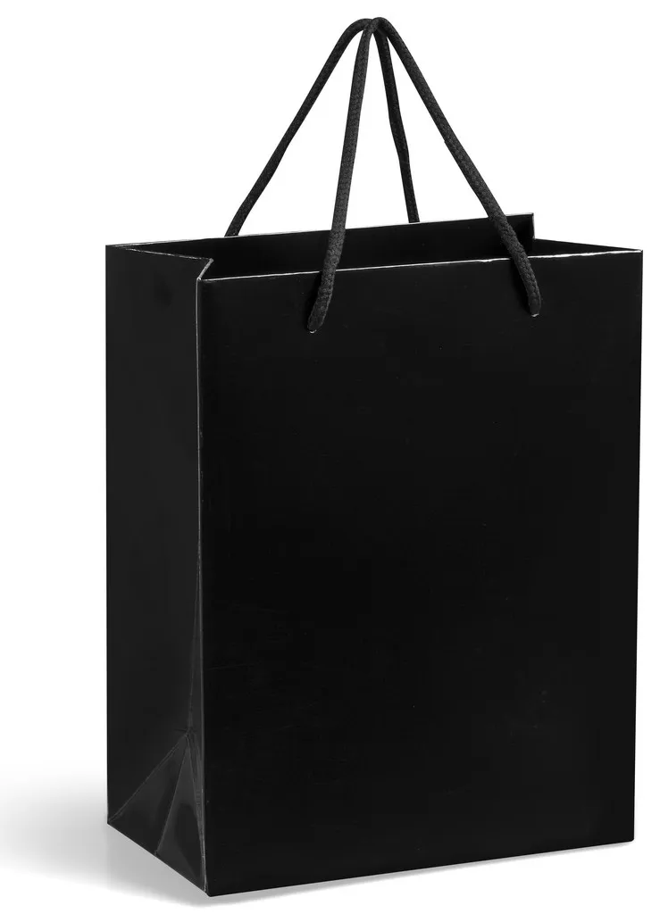 Altitude Dazzle Mini Paper Gift Bag