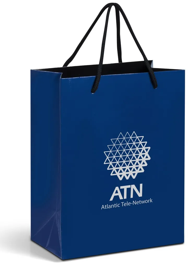 Altitude Dazzle Mini Paper Gift Bag