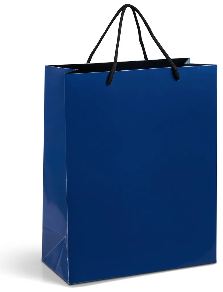 Altitude Dazzle Midi Paper Gift Bag