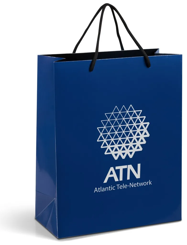 Altitude Dazzle Midi Paper Gift Bag