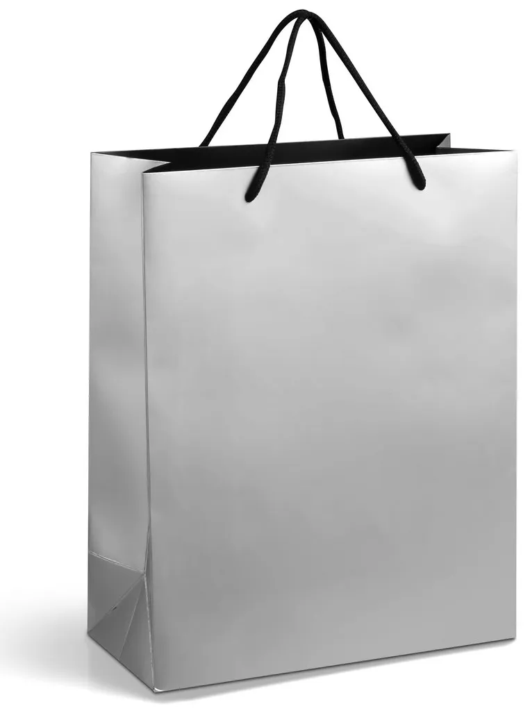 Altitude Dazzle Midi Paper Gift Bag