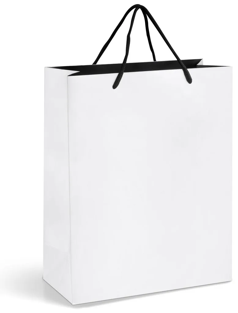 Altitude Dazzle Midi Paper Gift Bag