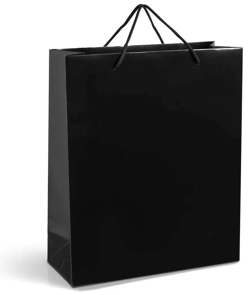 Altitude Dazzle Maxi Paper Gift Bag