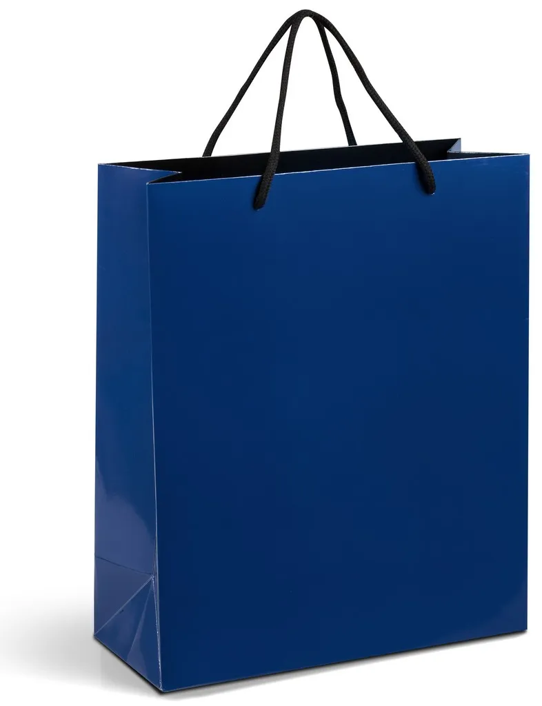Altitude Dazzle Maxi Paper Gift Bag