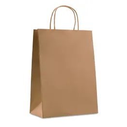 Large Paper Bag