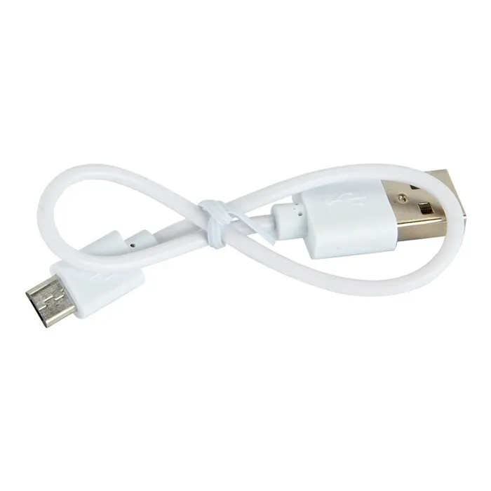 Plastic 2200 Mah Powerbank