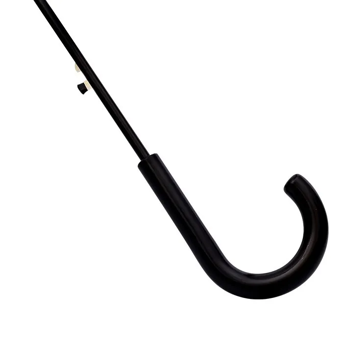 Dome Shaped Clear Umbrella