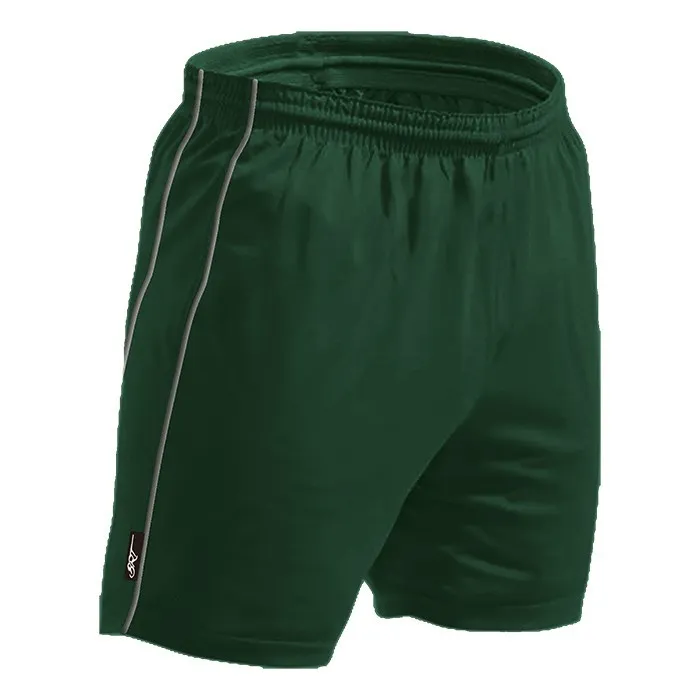 Brt Reflect Shorts