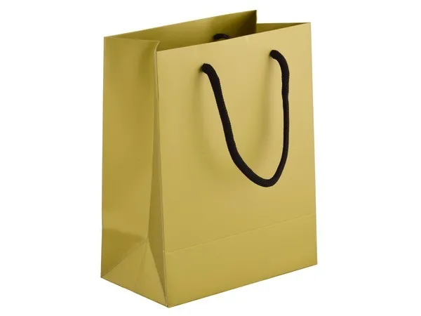 230gsm Matte Gift Bag 23cm