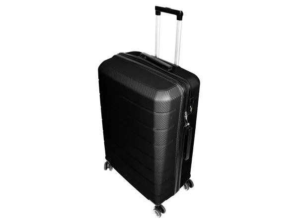 Pioneer 24 Inch Luggage Bag