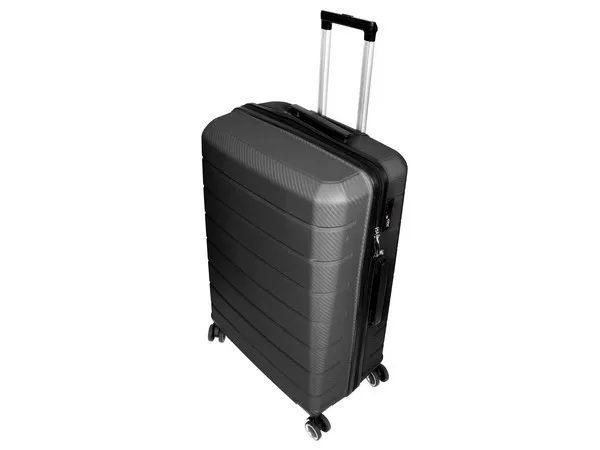 Pioneer 24 Inch Luggage Bag