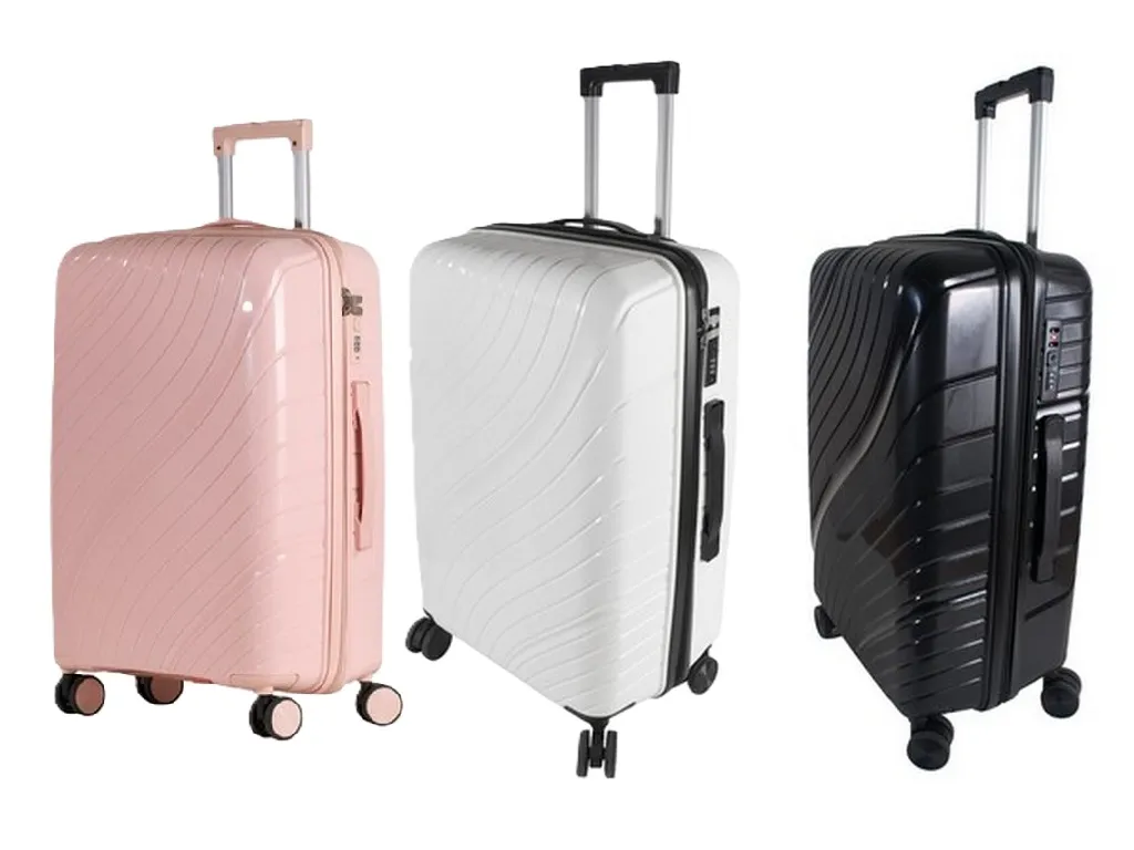 Jetsetter 24 Inch Cabin Luggage Bag