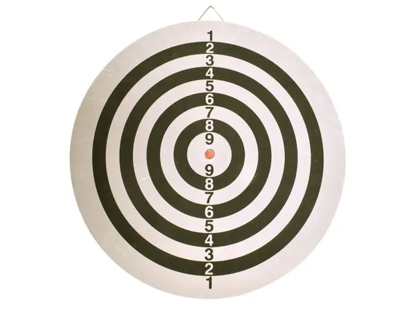 Flocked Pro Dart Board