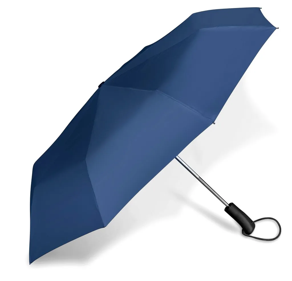 Whimsical Auto Open Compact Umbrella